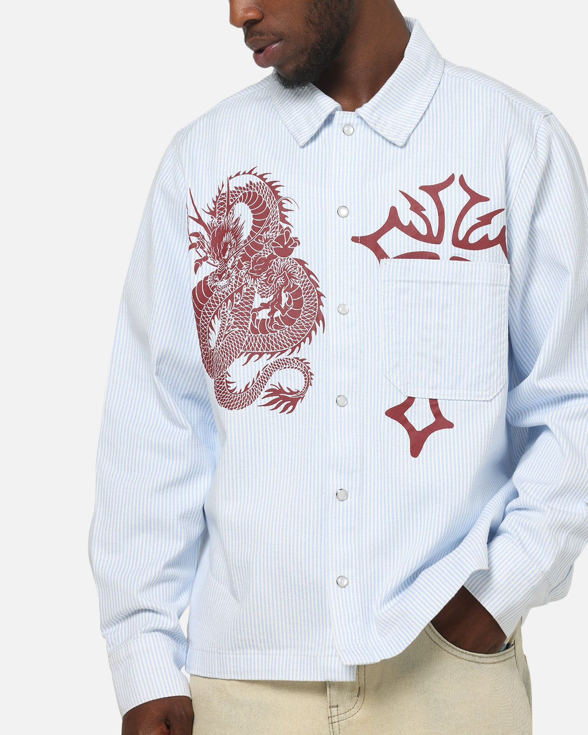 Ed Hardy Euro Button Up Shirt Blue Pinstripe
